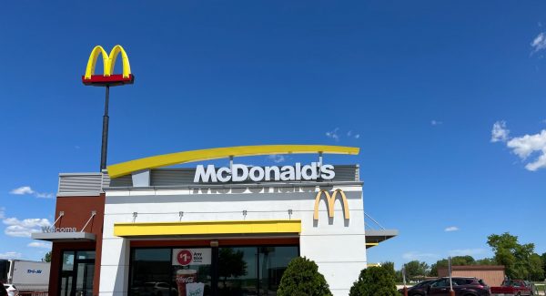 McDonald's Painting Project