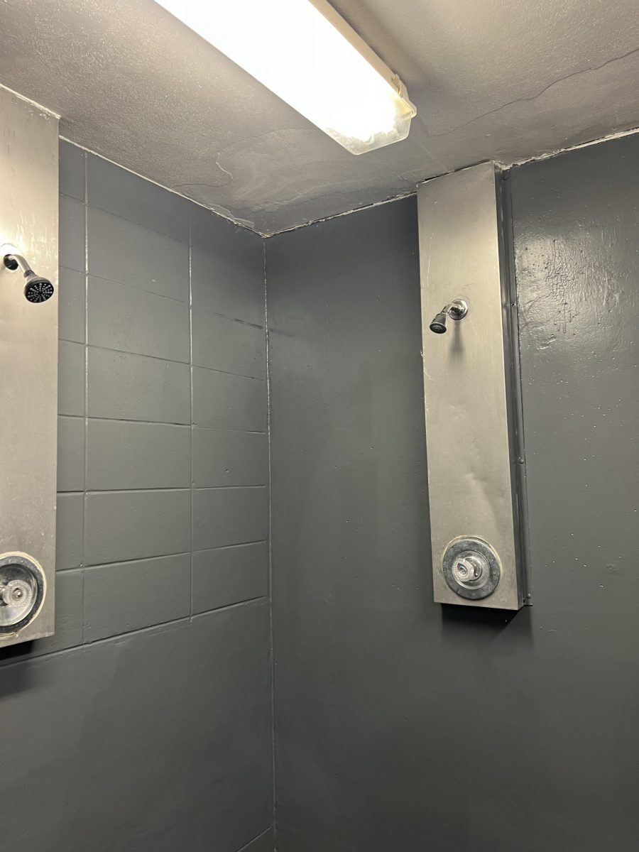 grey painted locker room shower Preview Image 1