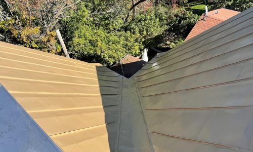 Roof Painting & Repairs