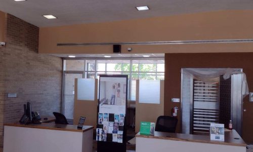 Painting in Progress