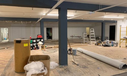 Basement in progress