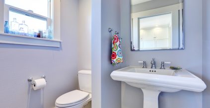 Residential Bathroom Interior