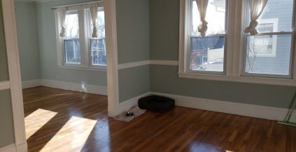 Dining Room Painting