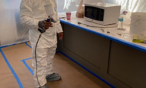 Factory Finish Painting In Progress