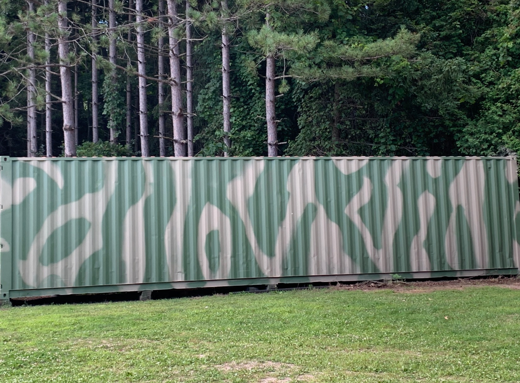 Shipping Container Painting in Carlisle, ON After