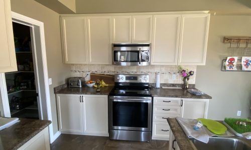 Kitchen Cabinet w/ Granite Countertops