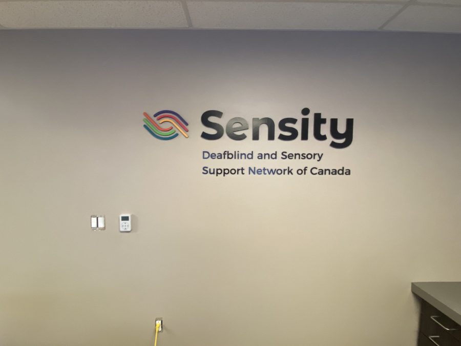 Sensity Accent Wall Preview Image 1