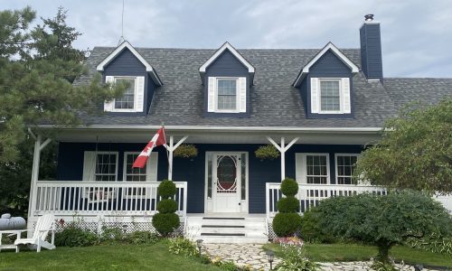 Vibrant Blue Siding