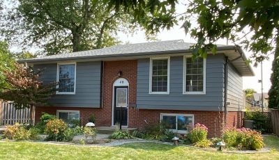 Siding Painting Project