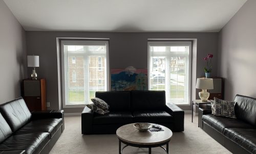 Living Room Painting