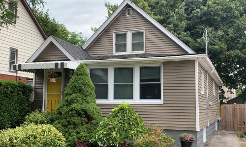 Vinyl Siding & Front Door Painting