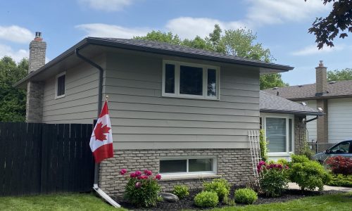 Vinyl Siding Painting