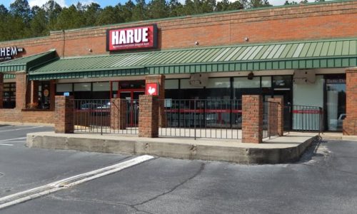 Duluth Village Shopping Mall Repainting