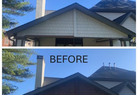 Roof and Siding Painting