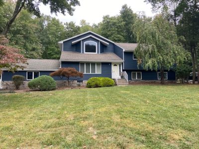 dark blue exterior painting