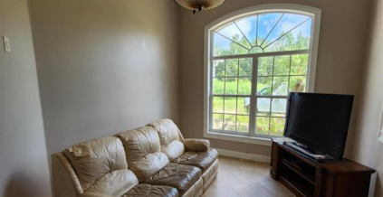 Living Room Painting Project