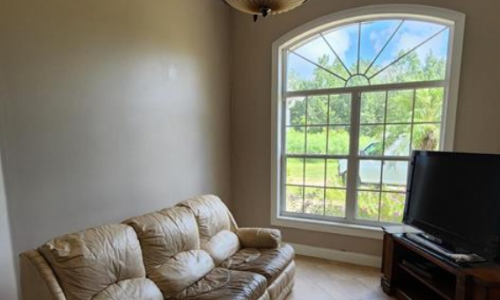 Living room painting in Orlando