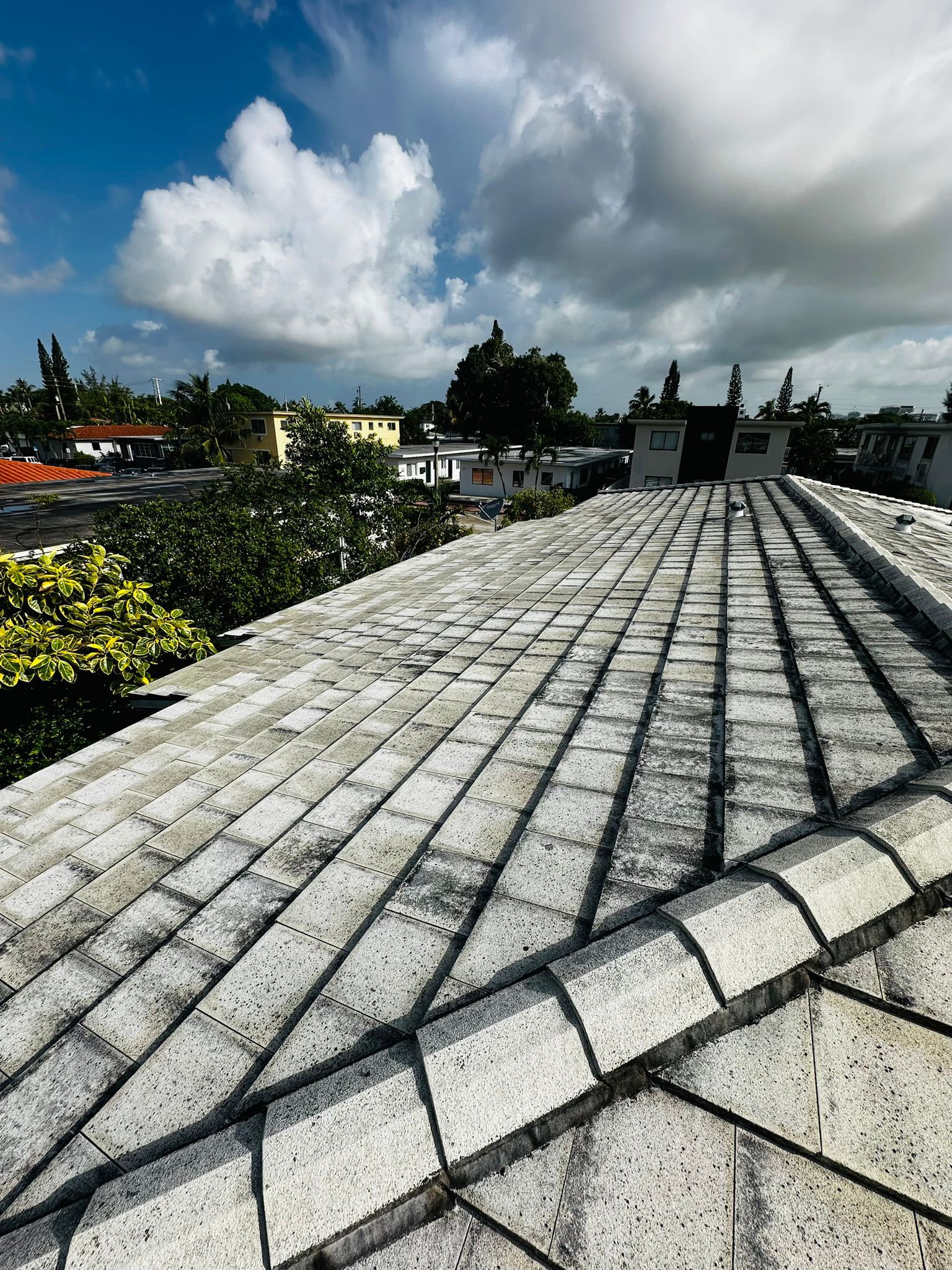 Roof Cleaning in Miami Beach Before