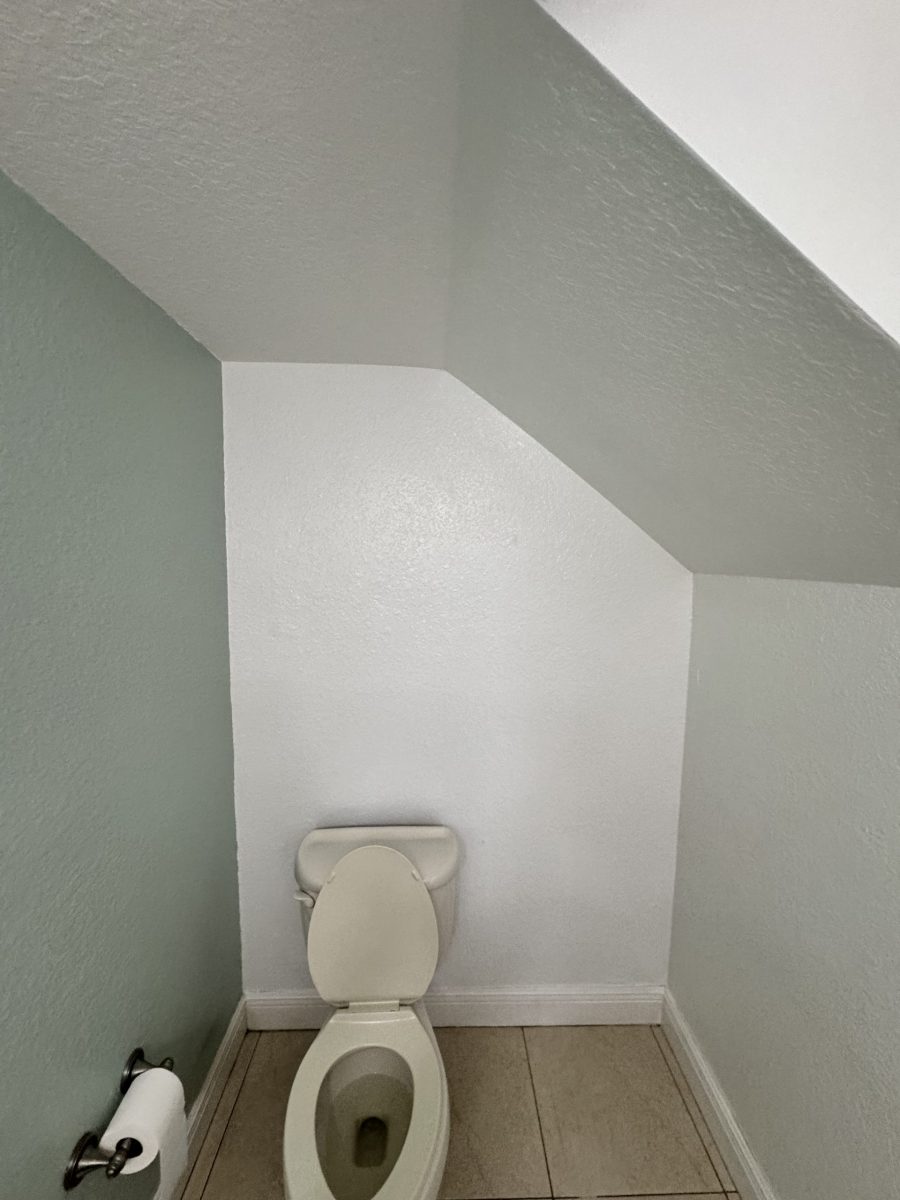 home interior bathroom before repaint Preview Image 10