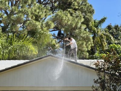 painters at work on roof