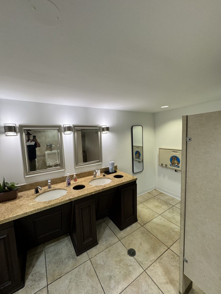 temple bathroom interior after repaint Preview Image 6