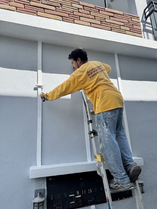 professional painter on ladder