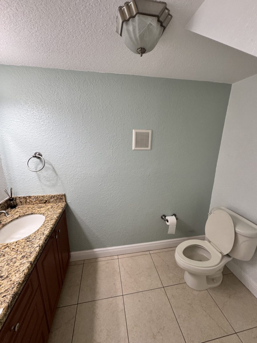 home interior bathroom before repaint Preview Image 11