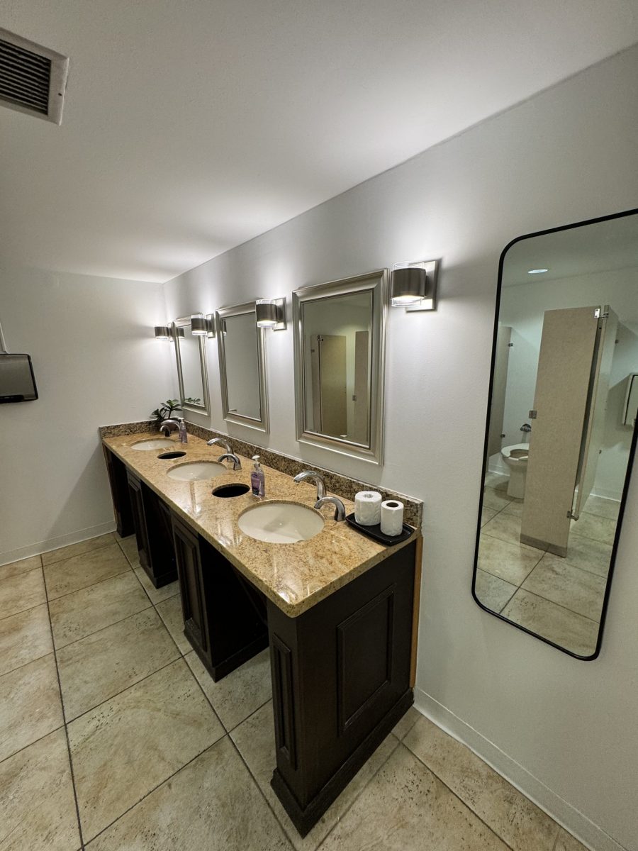 temple bathroom interior after repaint Preview Image 5