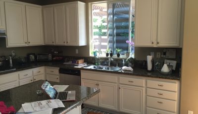 Cabinet Repaint in 2017