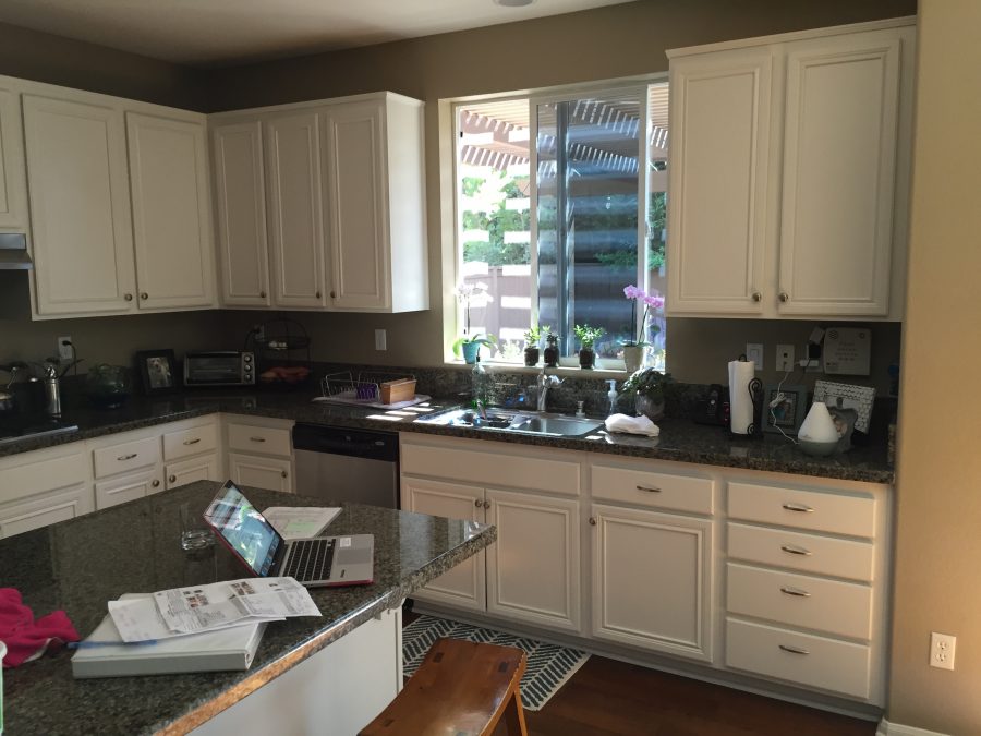 Cabinet Repaint in 2017