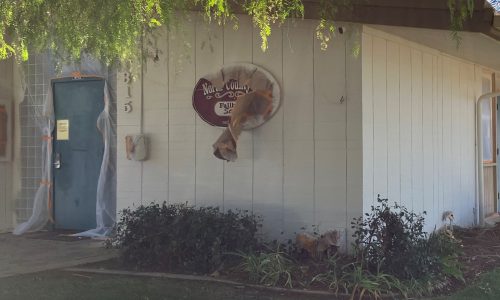 Side Doorway Unpainted