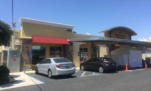 Medical Building Painters