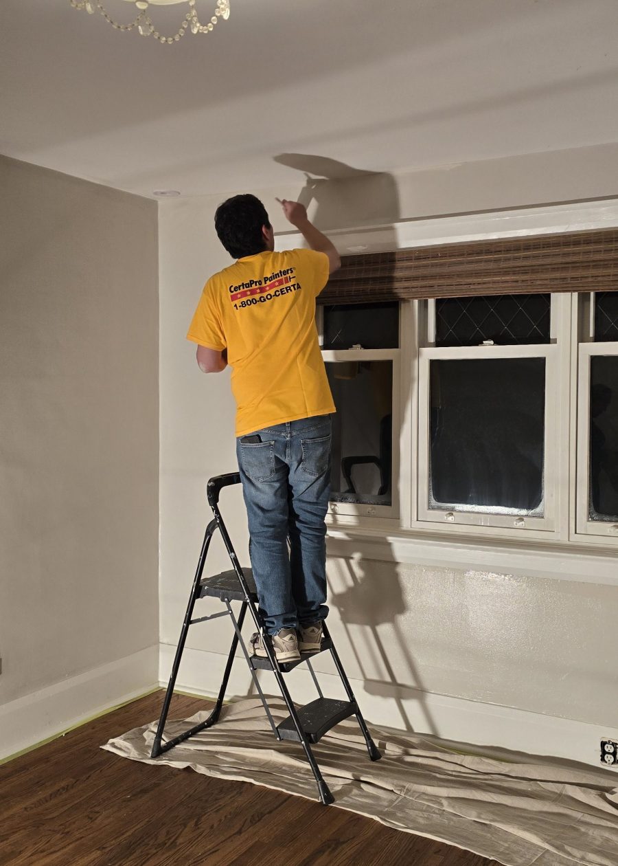 painter on ladder in home interior Preview Image 15