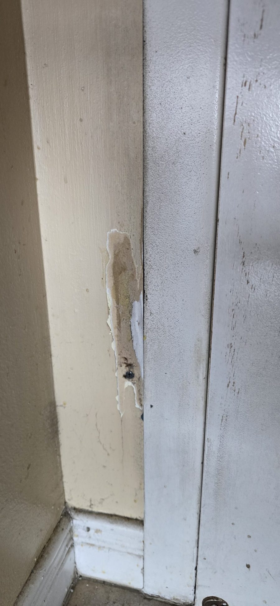 condo interior during repaint Preview Image 20