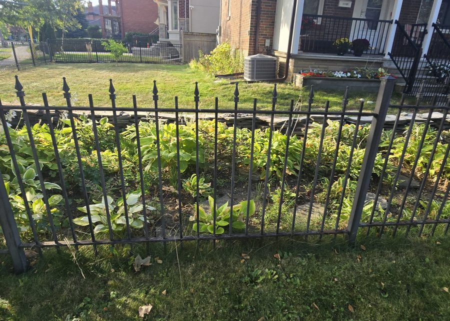 rusted wrought iron fence Preview Image 8