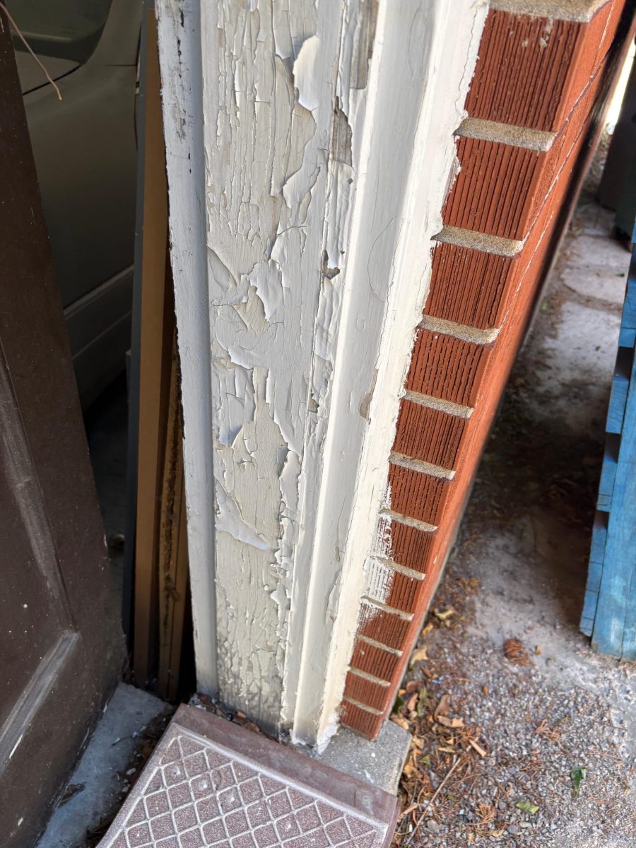 peeling paint on door frame Preview Image 18