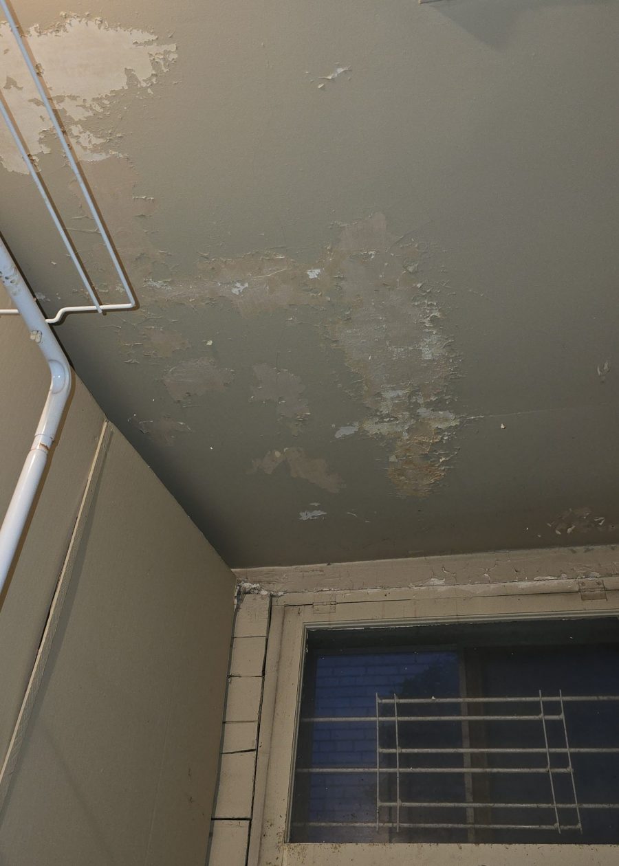 damaged interior ceiling Preview Image 8