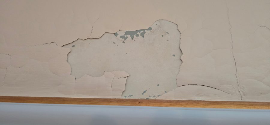 peeling paint on ceiling Preview Image 12