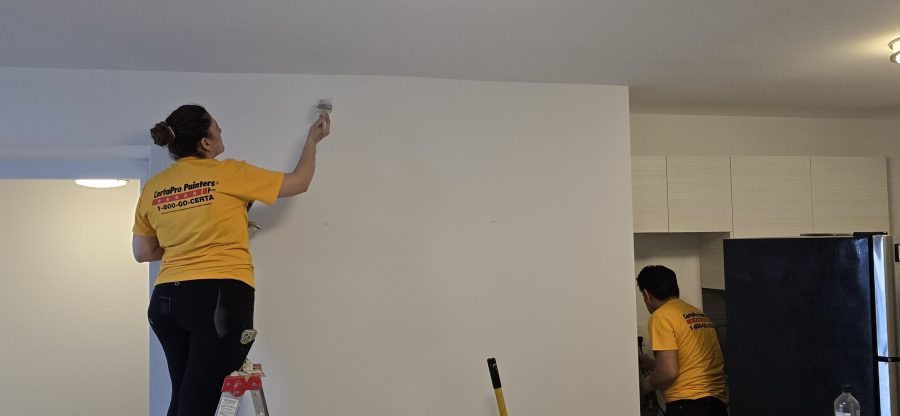 painters working in apartment home Preview Image 1