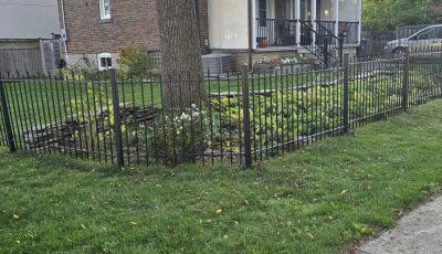 black painted wrought iron fence