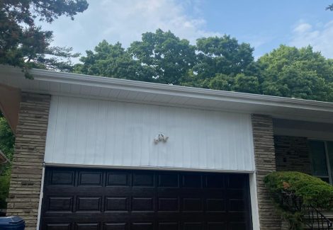 garage door before repaint