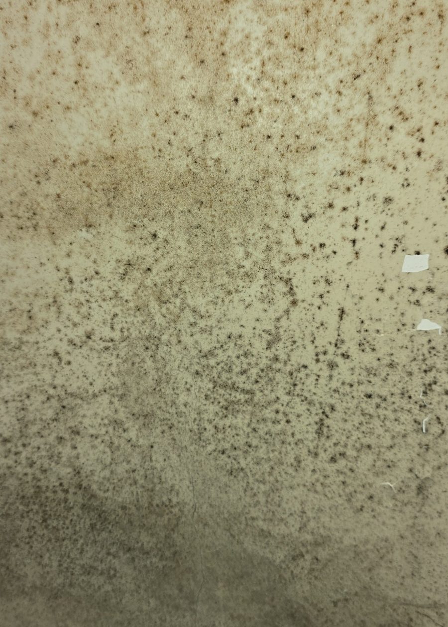 damaged interior wall Preview Image 9