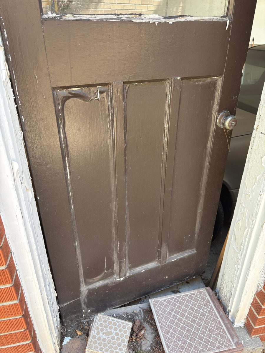 brown exterior door with peeling paint Preview Image 15
