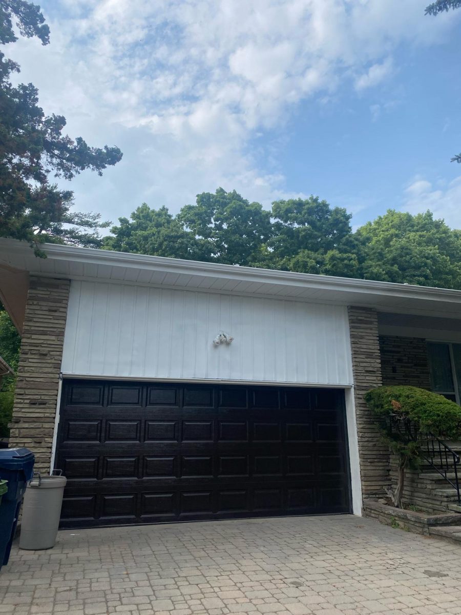 garage door before repaint Preview Image 12