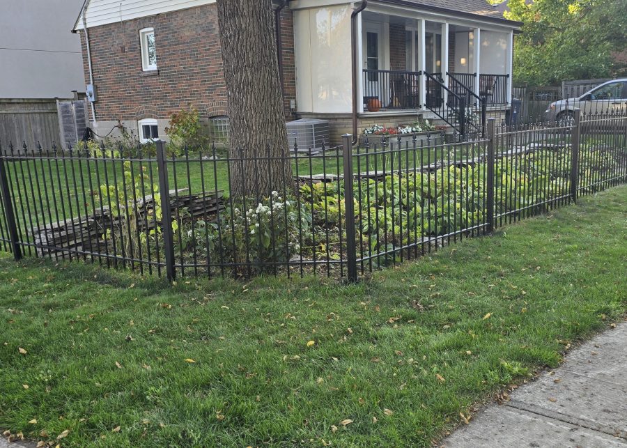 black painted wrought iron fence