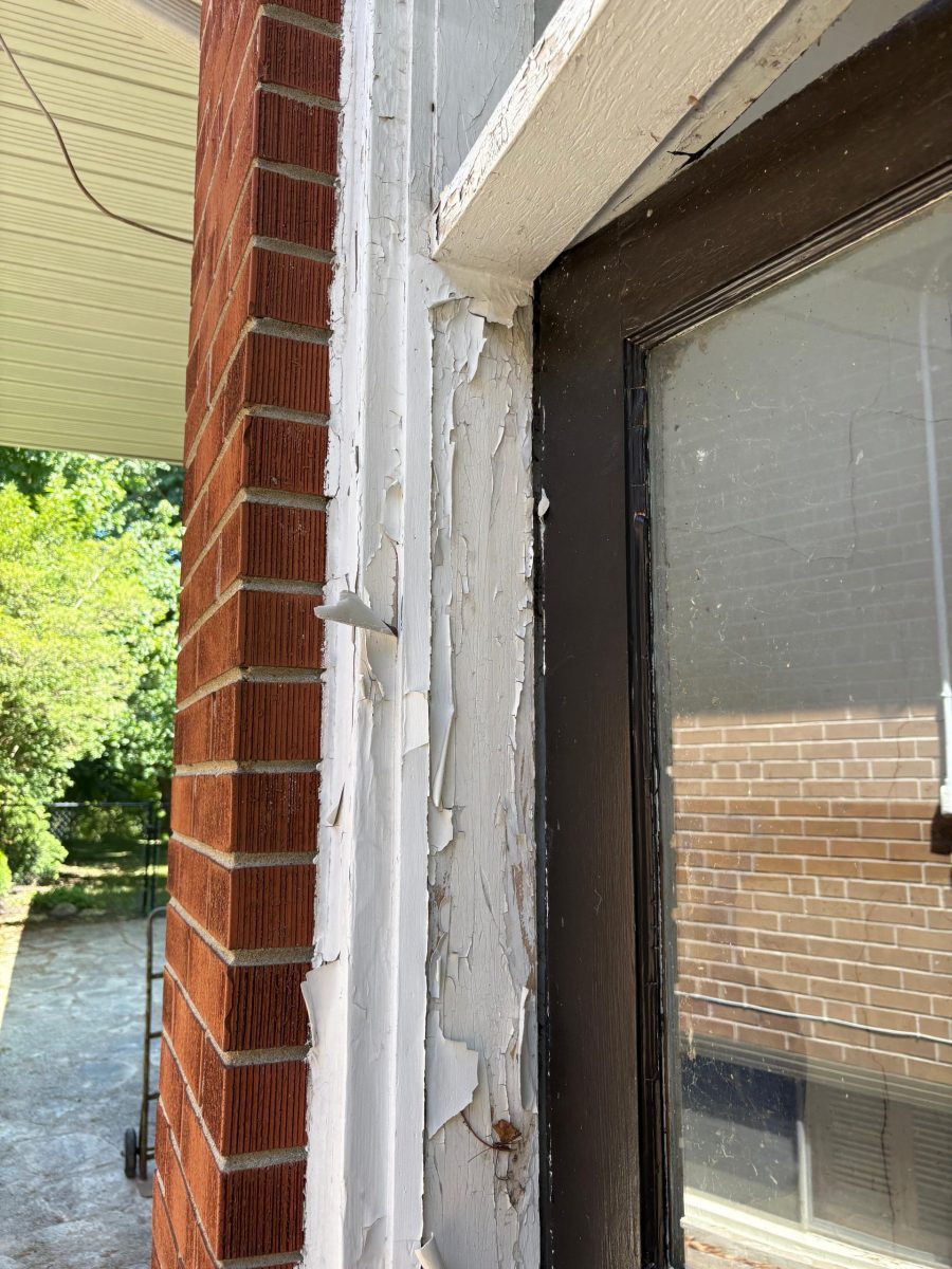 brown exterior door and frame with peeling paint Preview Image 14