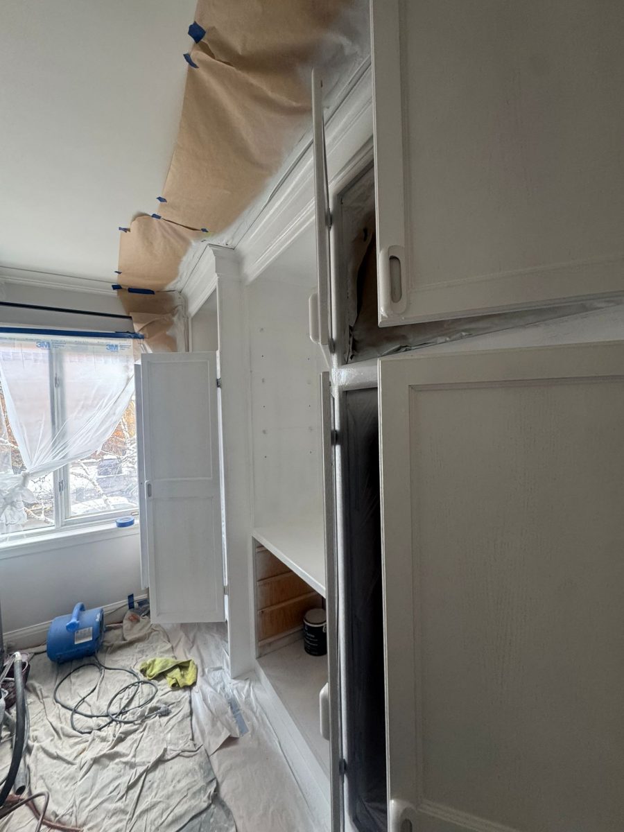 built in cabinets during white repaint Preview Image 11