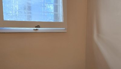 finished room interior wall