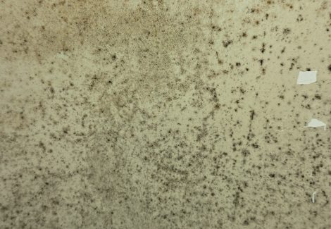 damaged interior wall