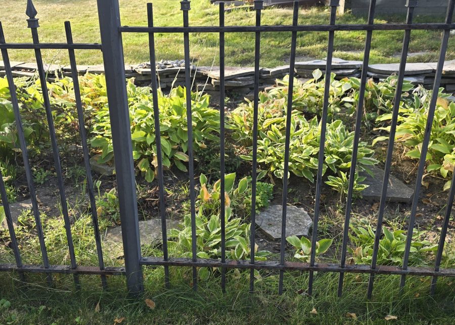 rusted wrought iron fence Preview Image 9